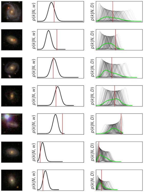 Galaxy Zoo: Probabilistic Morphology through Bayesian CNNs and Active Learning