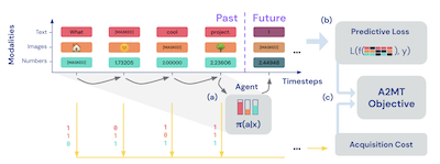 Active Acquisition for Multimodal Temporal Data: A Challenging Decision-Making Task