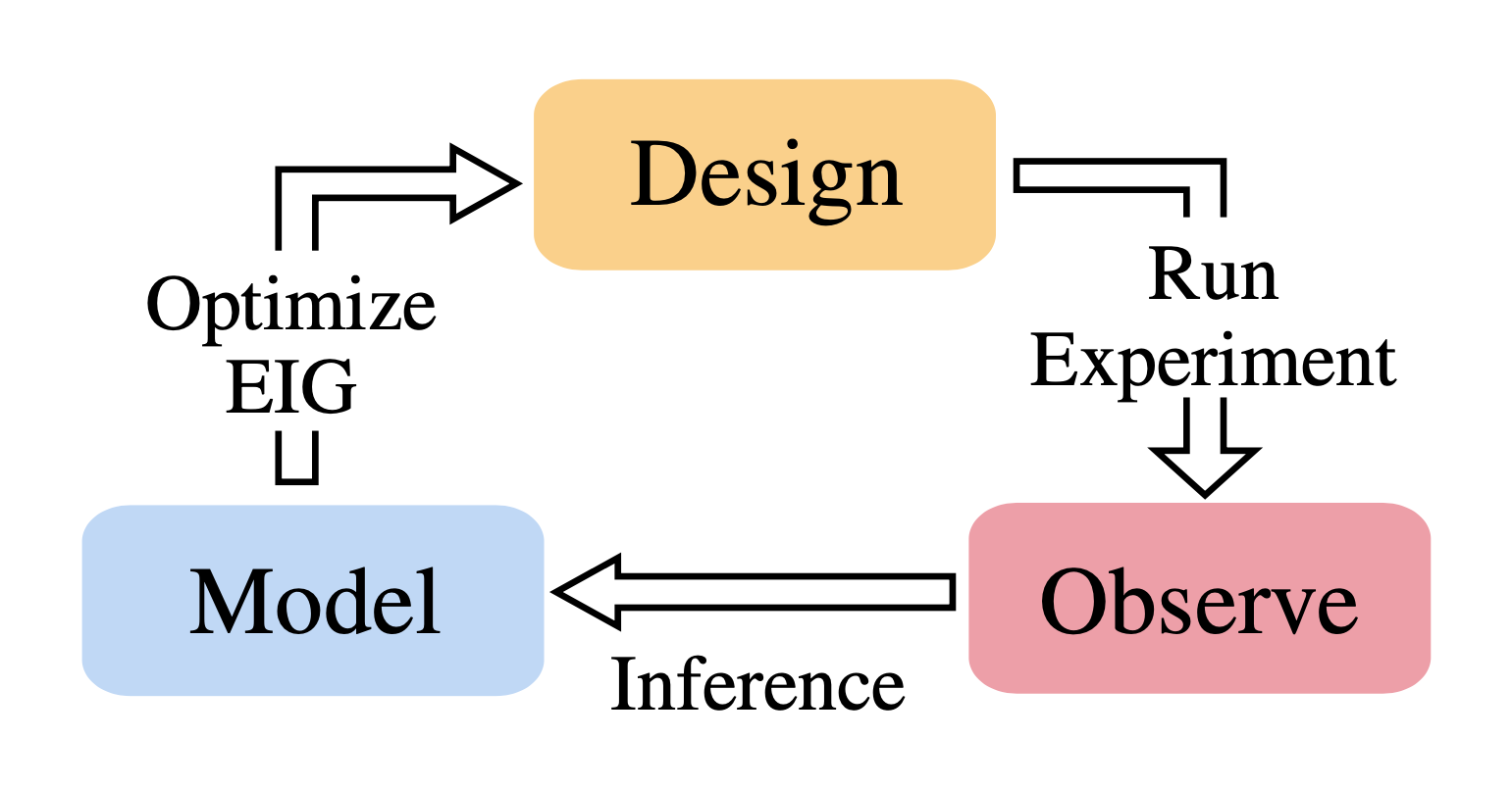 Modern Bayesian Experimental Design