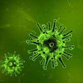 Learning from pre-pandemic data to forecast viral antibody escape