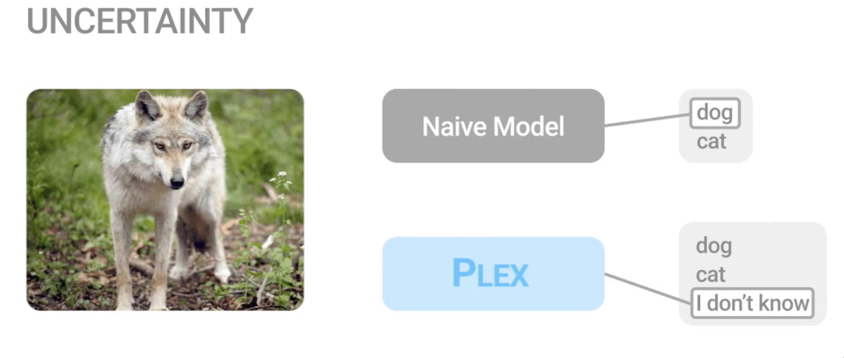 Plex: Towards Reliability using Pretrained Large Model Extensions