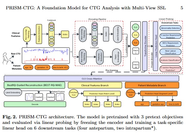 PRISM-CTG: A Foundation Model for Cardiotocography Analysis with Multi-View SSL